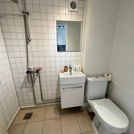 City Aarhus 公寓 Århus