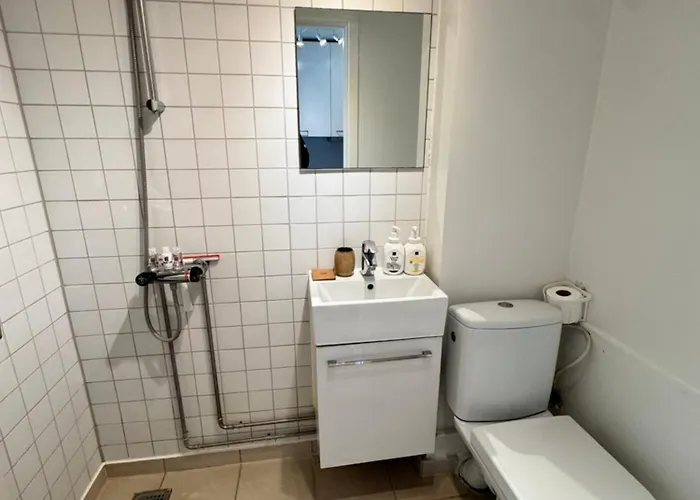 City Aarhus アパート オールフス